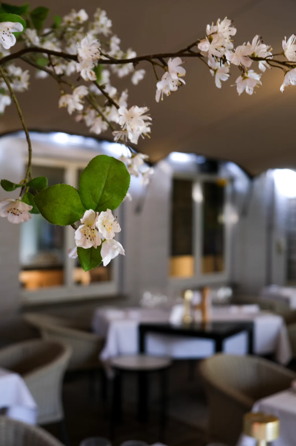Brasserie Latem contact